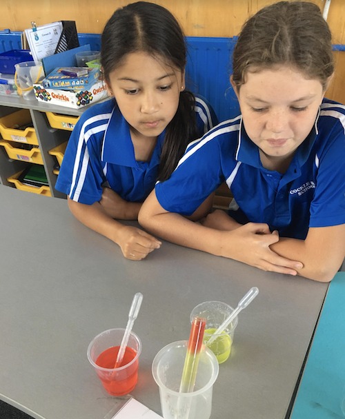 Science-club